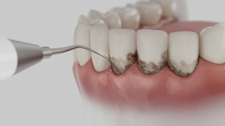 Reliable Dental contractor in Palmyra, IN by Dentist Open Now
